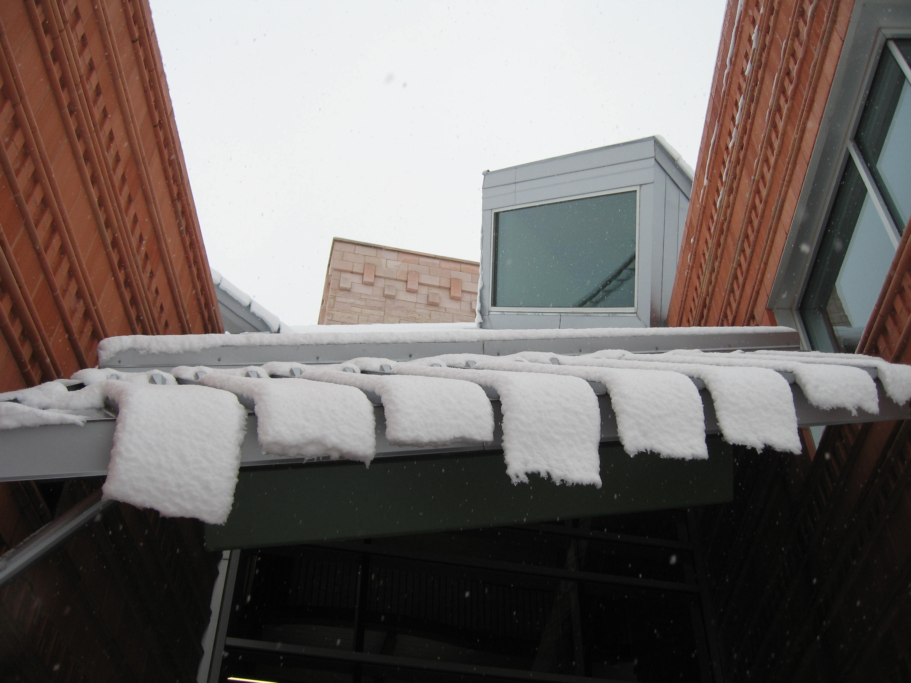 10.02.11 cedar hill snow scenes 021